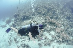    Mareste fotografia 

WeDive - Scuba-Girls