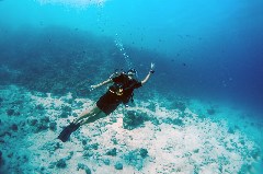    Mareste fotografia 

WeDive - Scuba-Girls