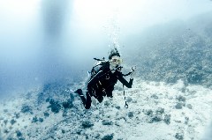    Mareste fotografia 

WeDive - Scuba-Girls