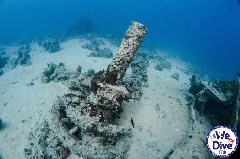    Mareste fotografia 

WeDive - Thistlegorm